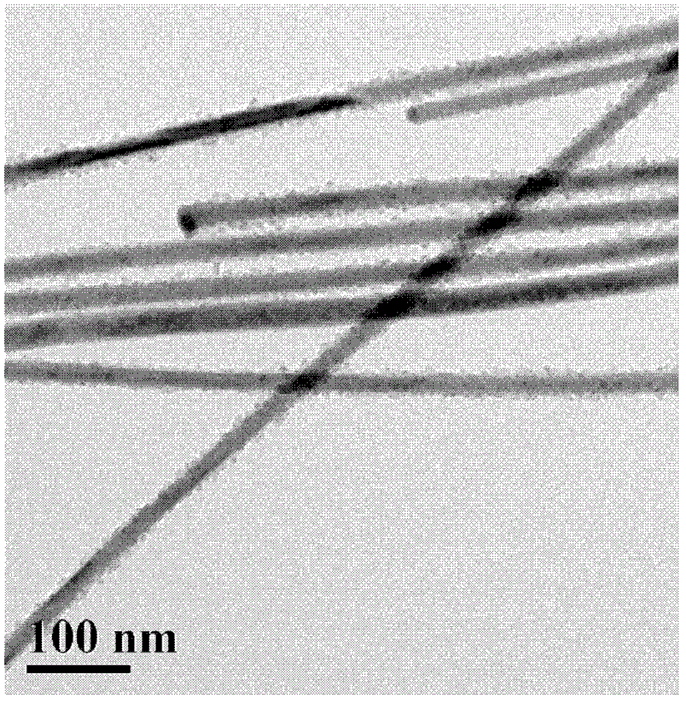 Solution phase method for synthesizing tin selenide monocrystal nanowire