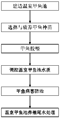 Greenhouse soft-shelled turtle culture method