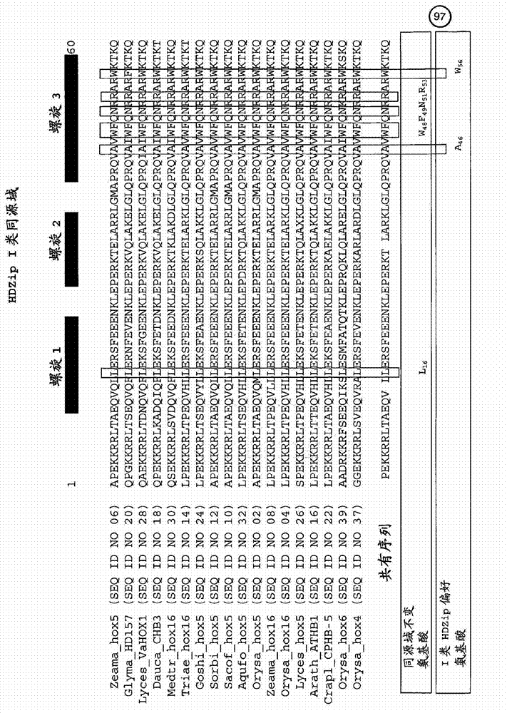 Plants having improved growth characteristics and a method for making the same