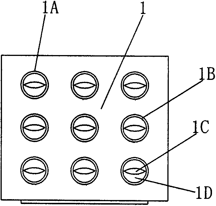 Fruit preservation box with longitudinal locking structure