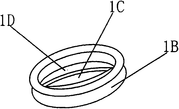 Fruit preservation box with longitudinal locking structure