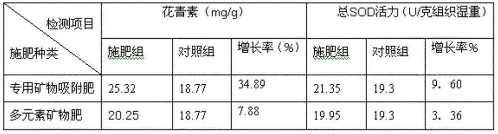 Special mineral adsorption fertilizer for improving content of blueberry anthocyanin and using method of fertilizer