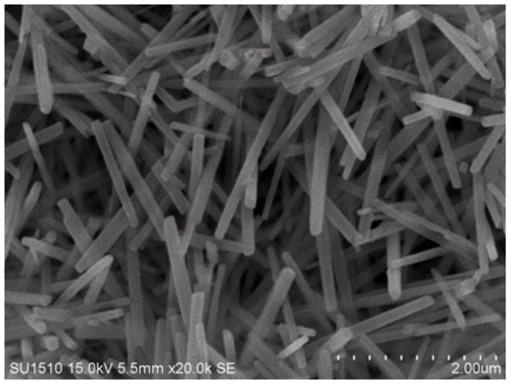 Method for synthesizing and preparing ZSM-22 molecular sieve under conditions of no organic template and no crystal seed