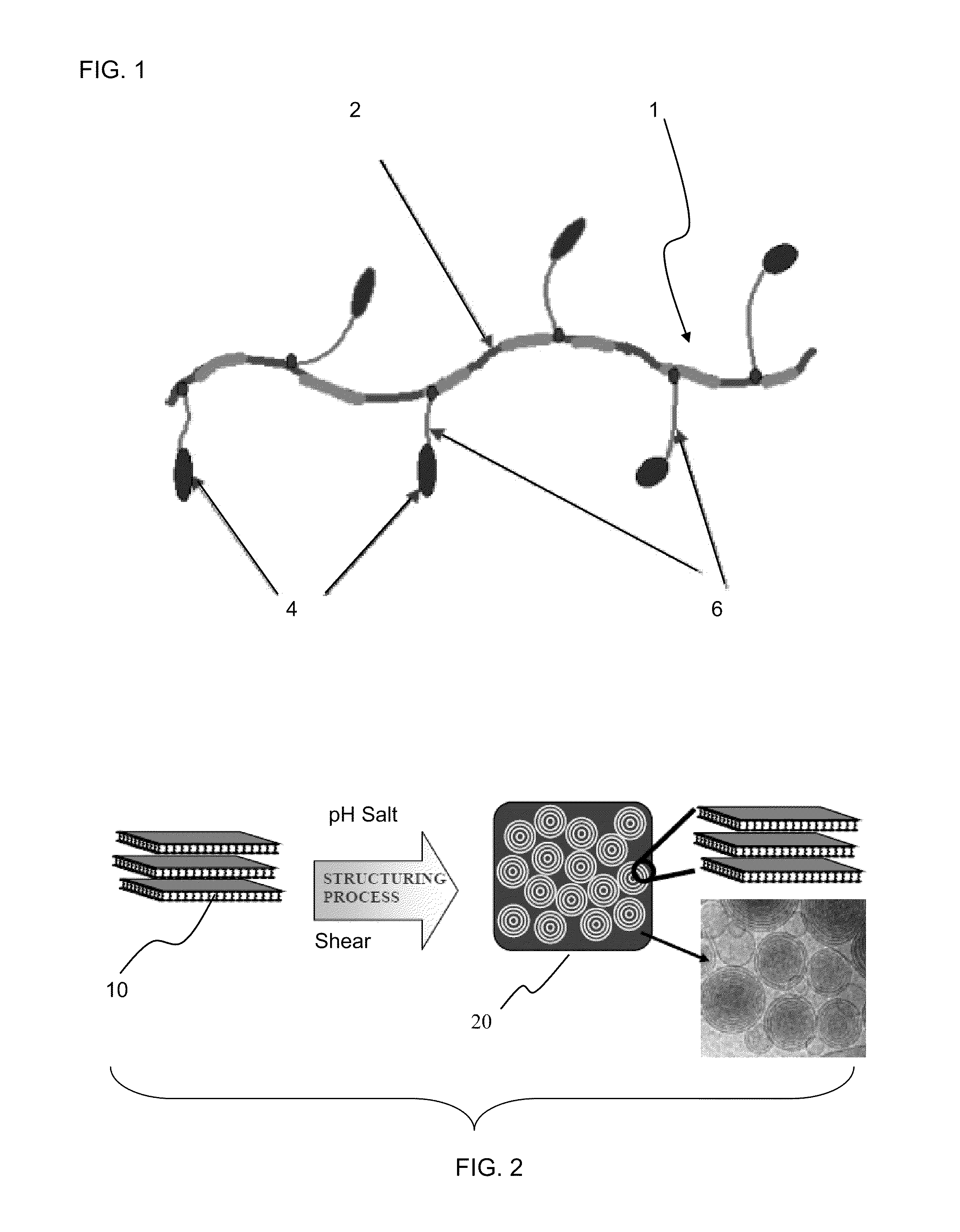 Compositions with freeze thaw stability