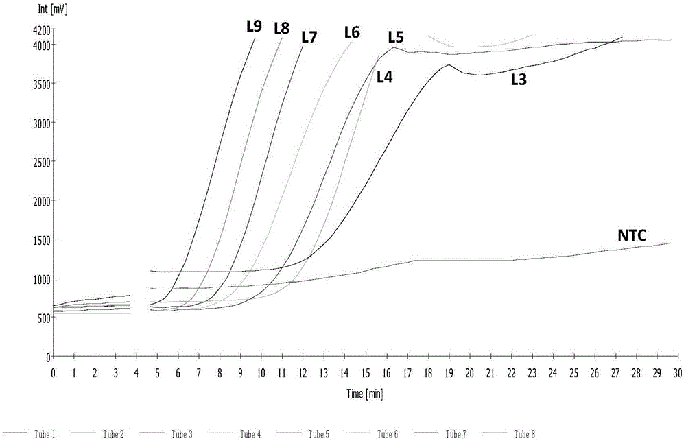 Normal-temperature and constant-temperature nucleic acid amplification method using fluorescence probe