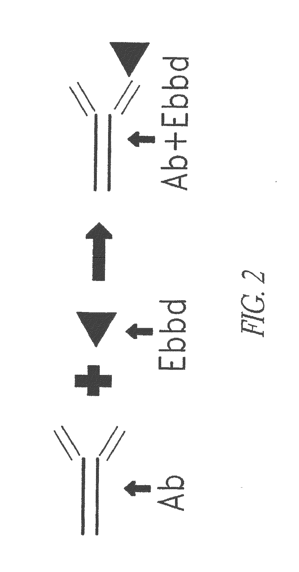 Modular targeted therapeutic agents and methods of making same