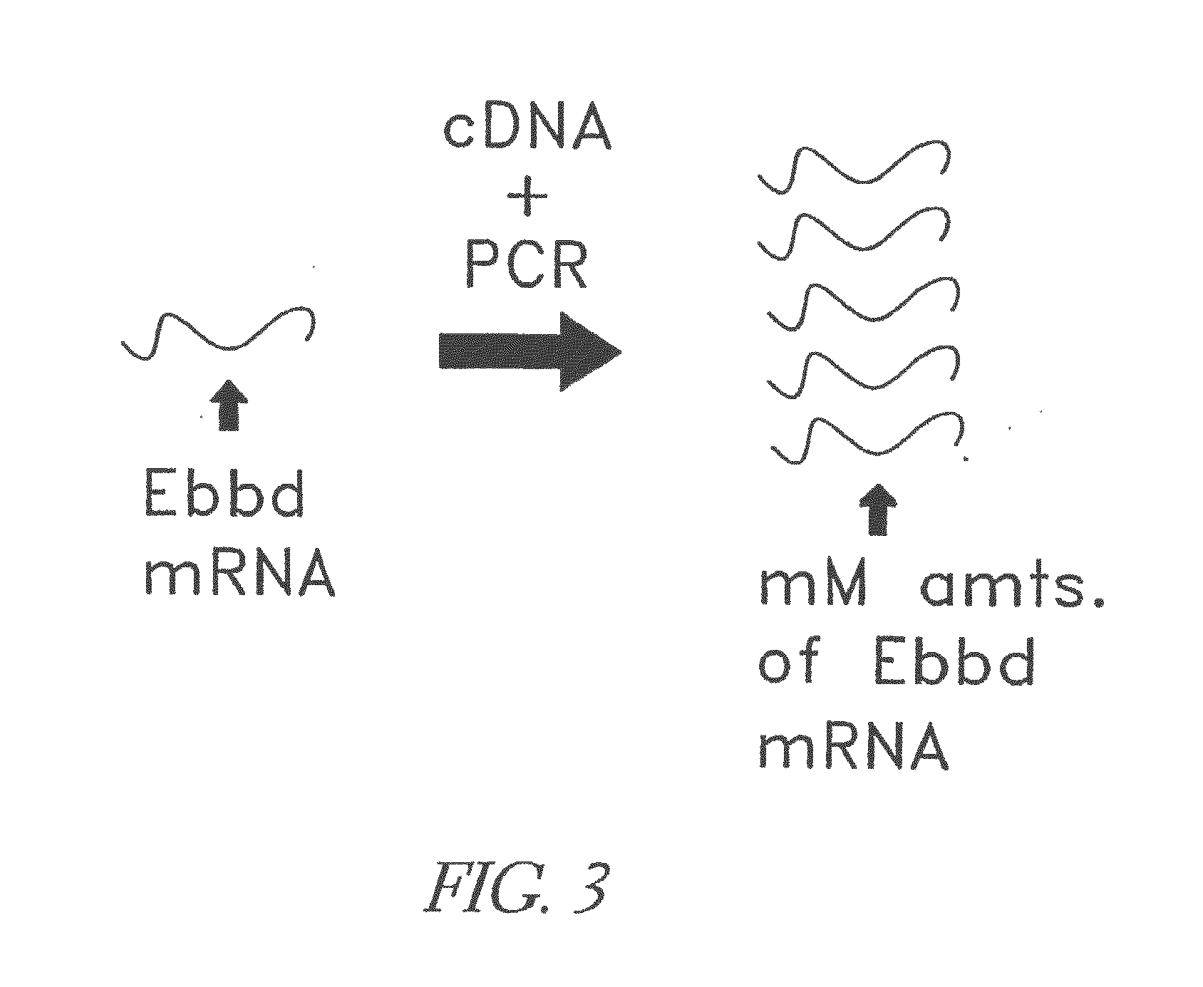 Modular targeted therapeutic agents and methods of making same