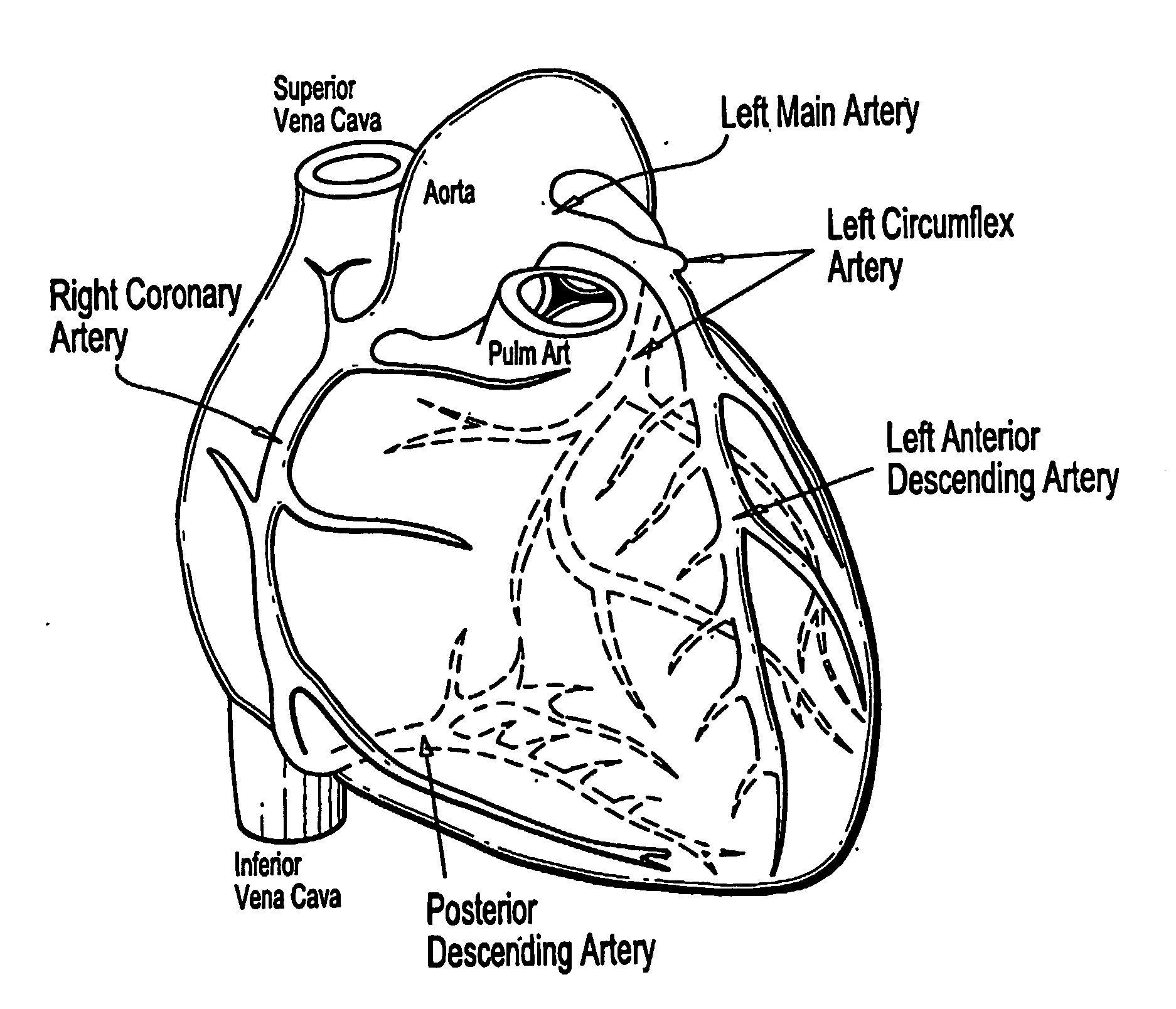 Imaging system and methods for cardiac analysis