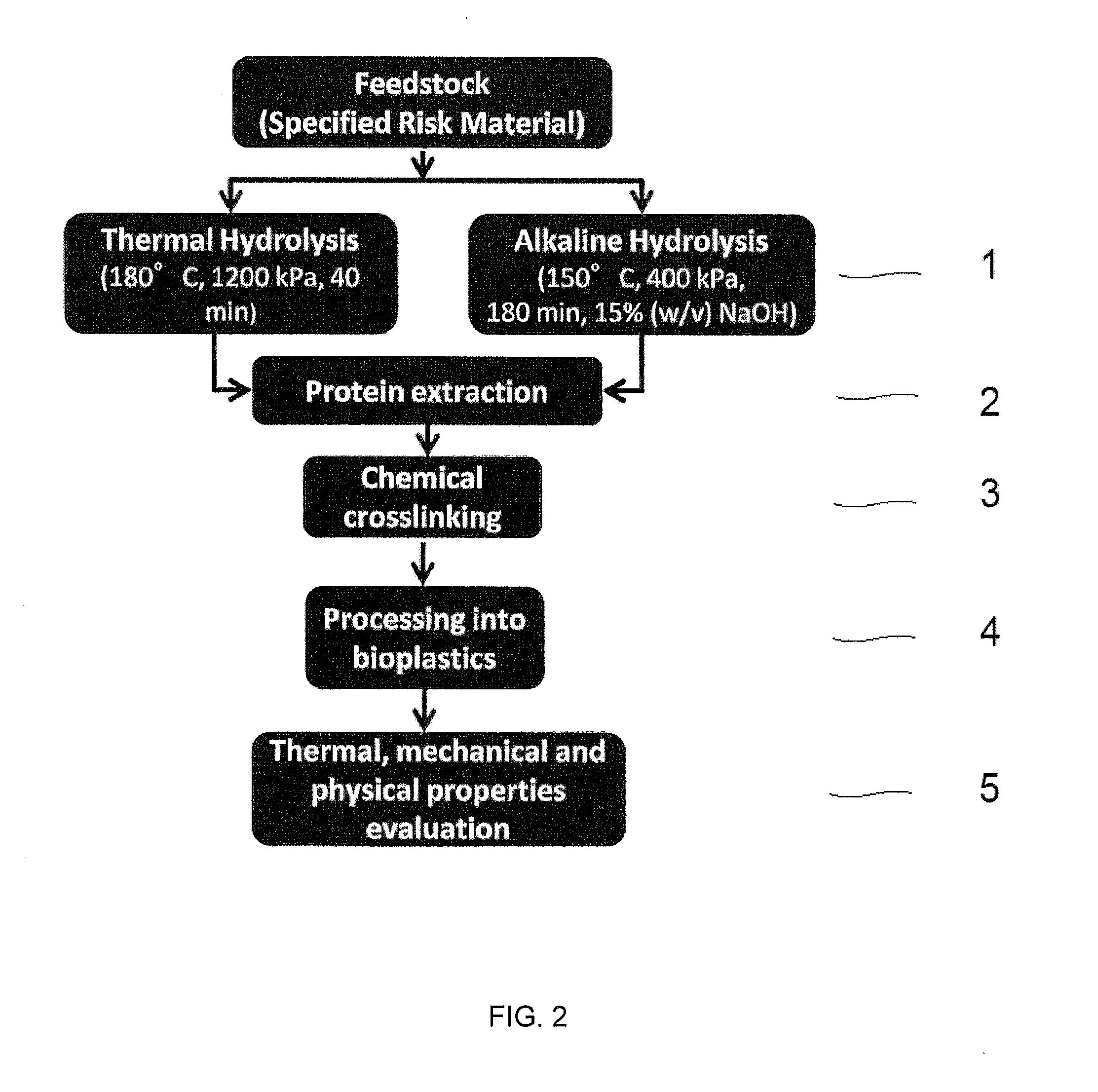 Biocomposite materials derived from animal protein