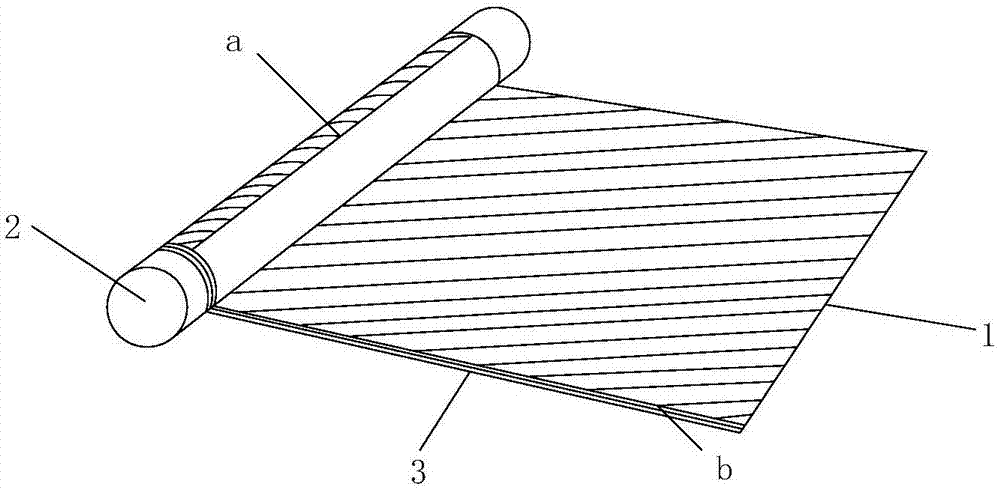 Display terminal and electronic device