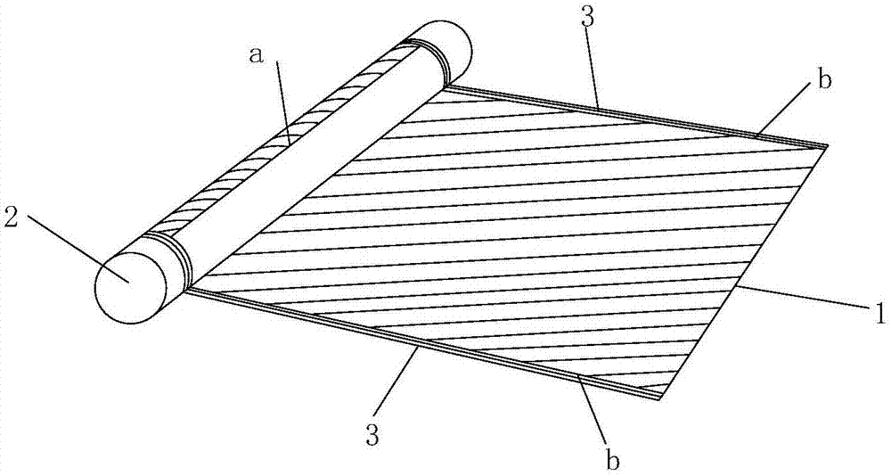 Display terminal and electronic device