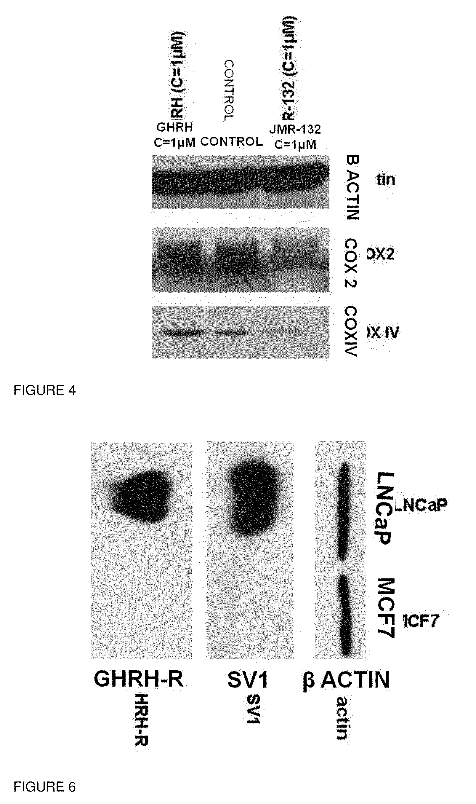 Antioxidant activity of GH-RH Antagonists