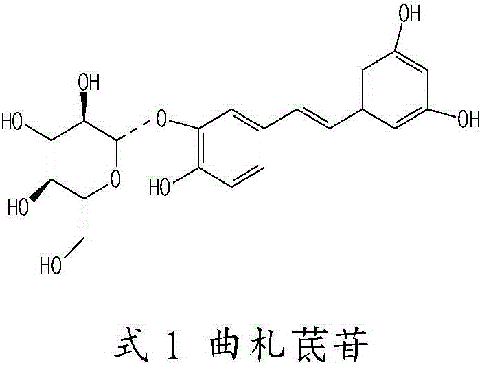 A kind of pharmaceutical composition for treating cerebrovascular disease