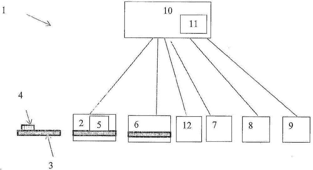 Non-invasive system for calculating human or animal, reliable, standardized and complete score