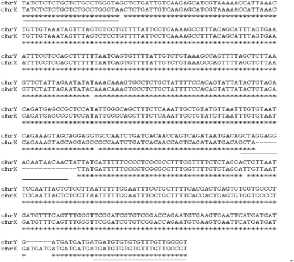 Micropterus salmoides gender-related molecular marker