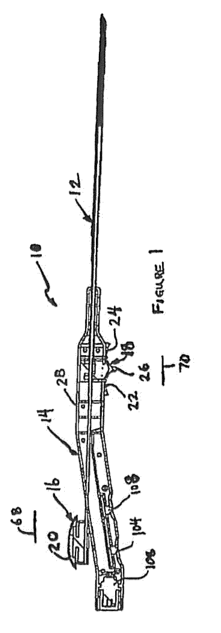 Anchored RF ablation device for the destruction of tissue masses