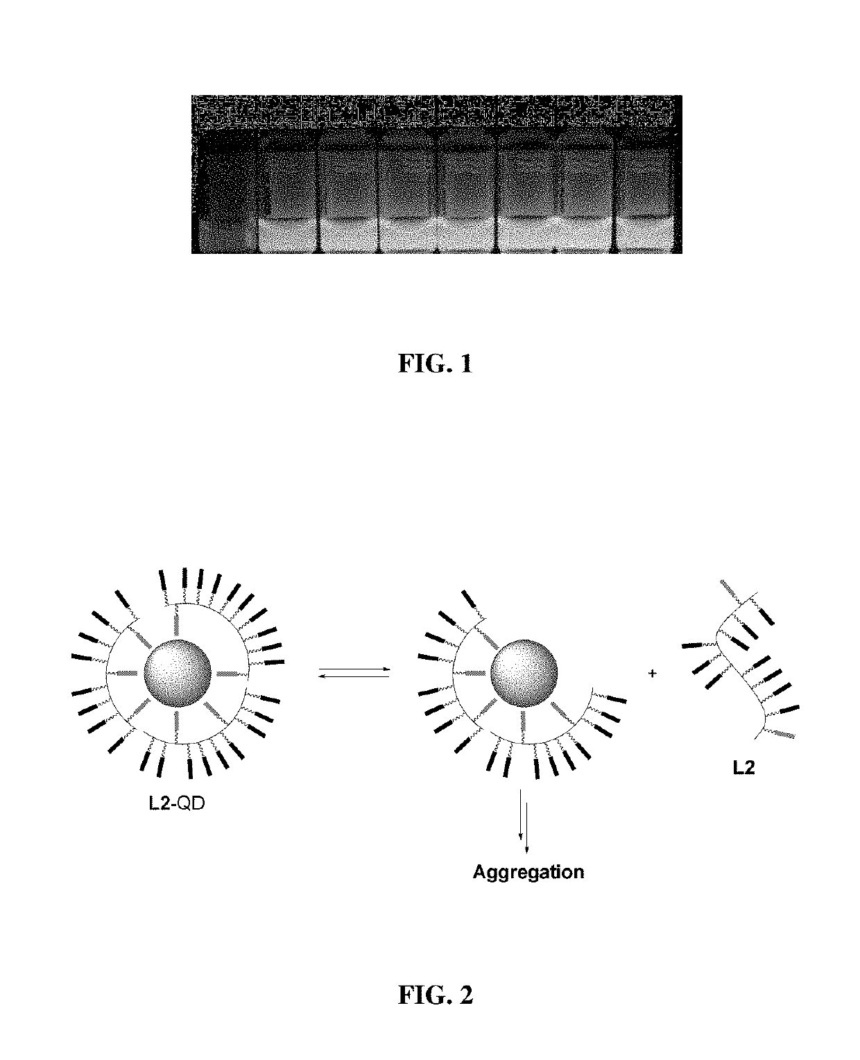 Enhanced affinity ligands