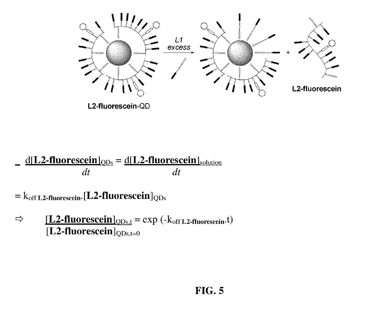 Enhanced affinity ligands