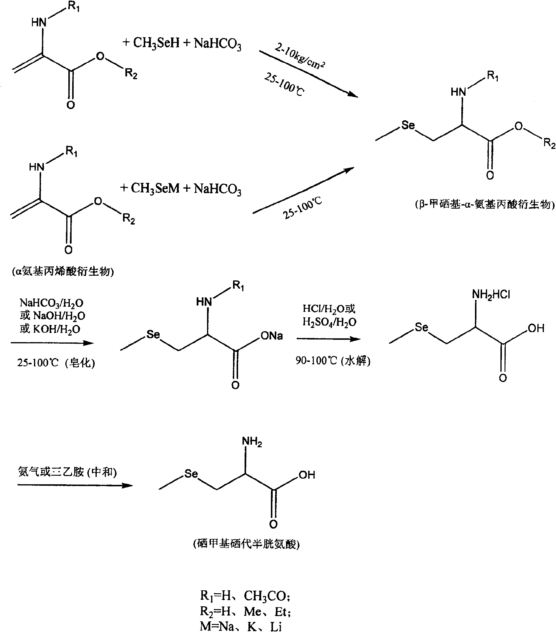 Method of preparing methylselenocysteine from alpha-amino acrylic acid derivative