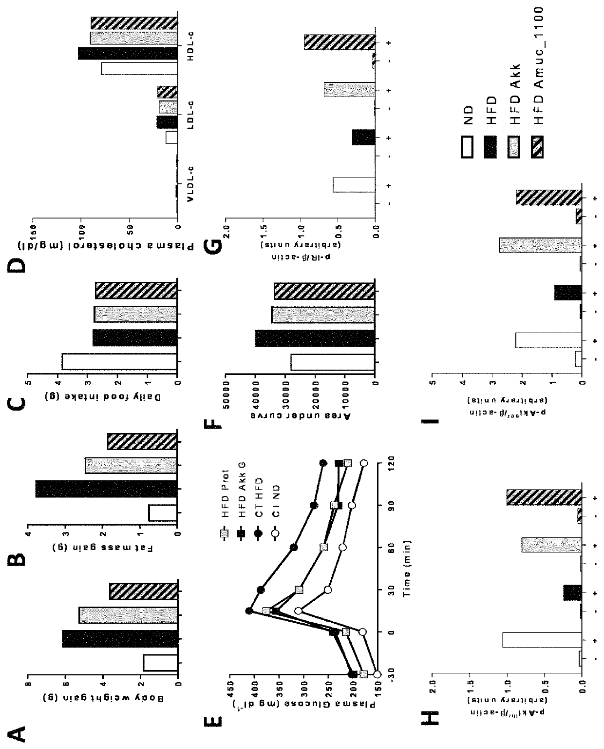 Use of a polypeptide for effecting immune signalling and/or affecting intestinal barrier function and/or modulating metabolic status