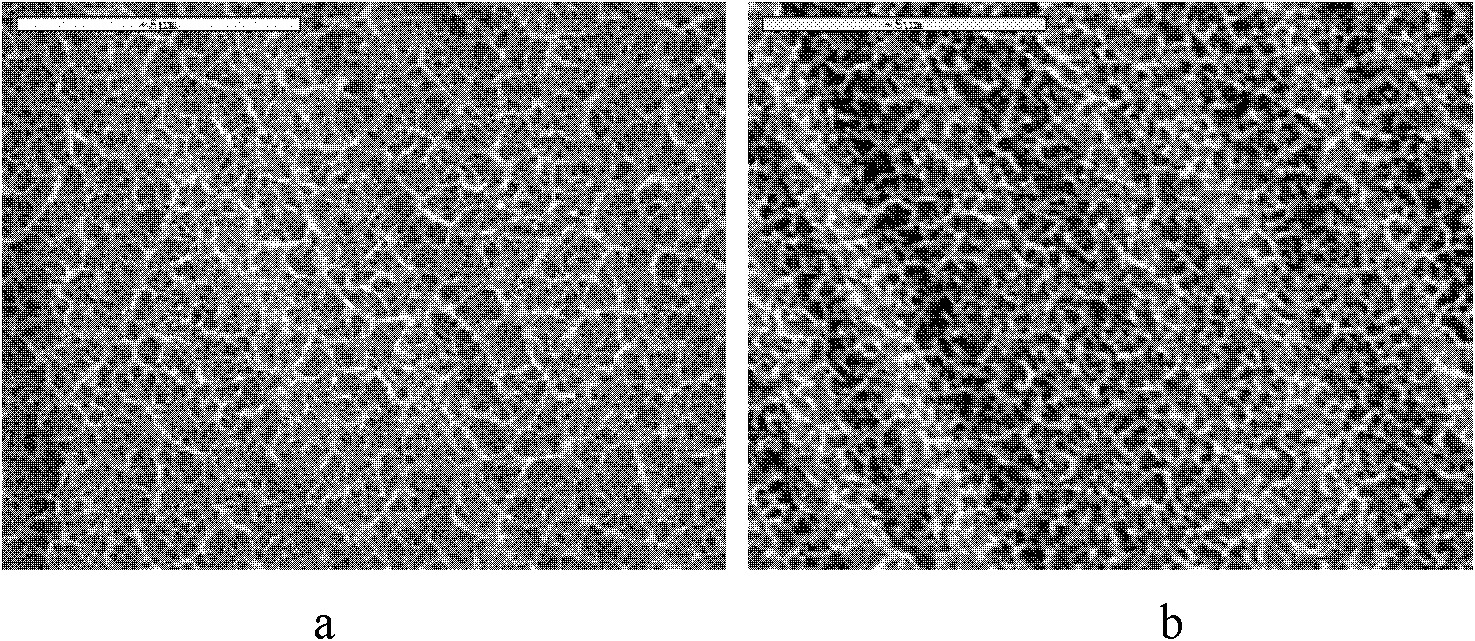 Method for improving surface hydrophilicity of medical titanium or titanium alloy