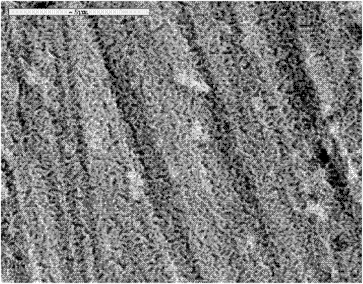 Method for improving surface hydrophilicity of medical titanium or titanium alloy