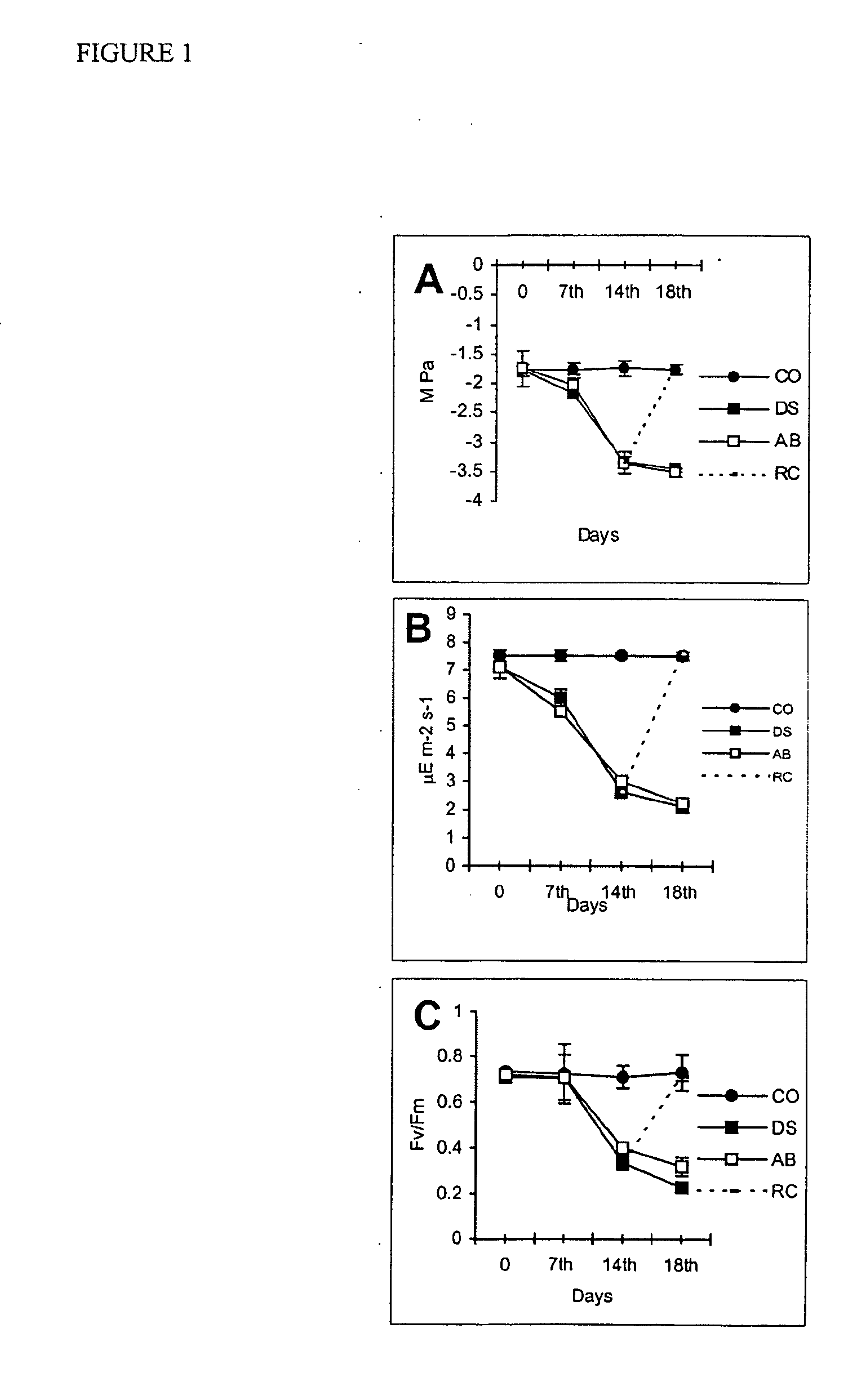 Novel genes from drought stress tolerant tea plant and a method of introducing water-stress tolerance