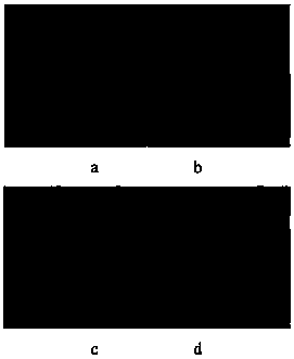 Multi-source image fusing method in fog environment