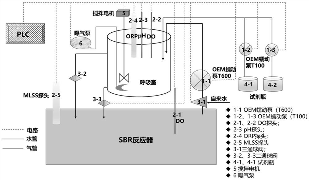 Method for characterizing short-cut nitrification and denitrification stability of sewage based on SOUR online detection