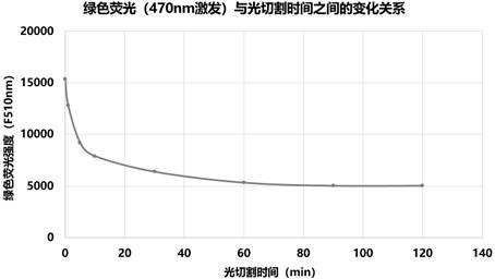 Photocleavable protein mutants with high photocleavage efficiency and applications thereof