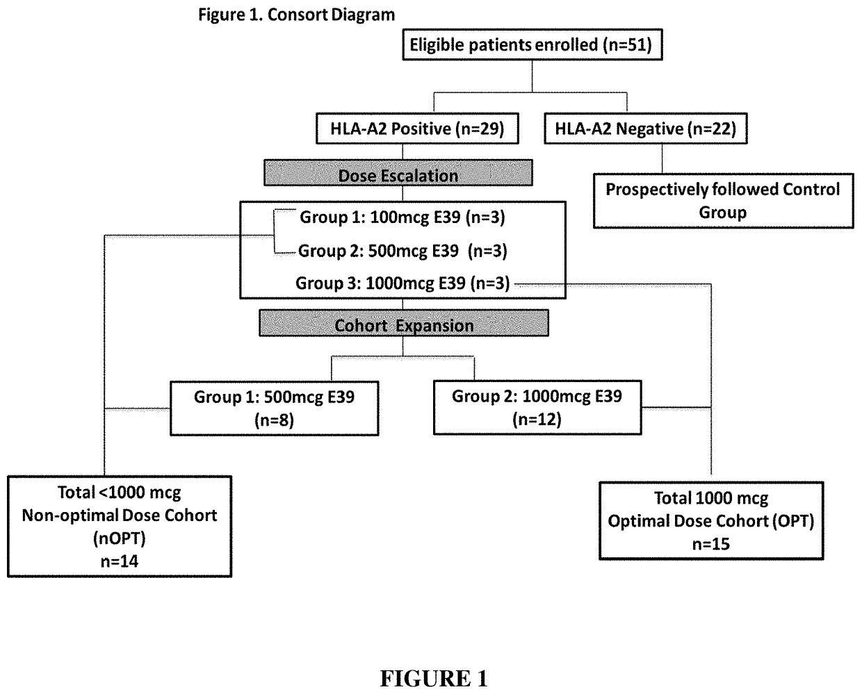 Vaccine therapy for treatment of endometrial and ovarian cancer