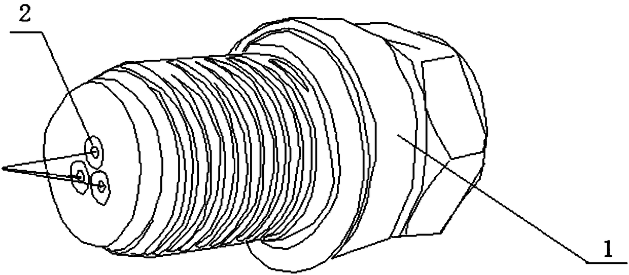 A kind of laser igniter and using method