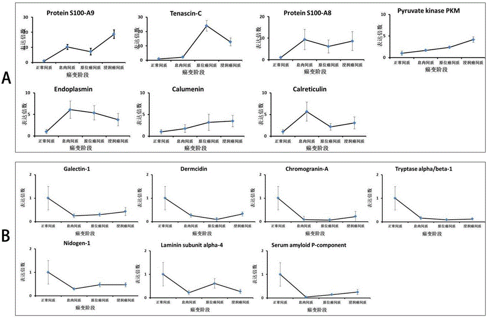 Group of colon cancer metastasis related tumor stroma markers and application