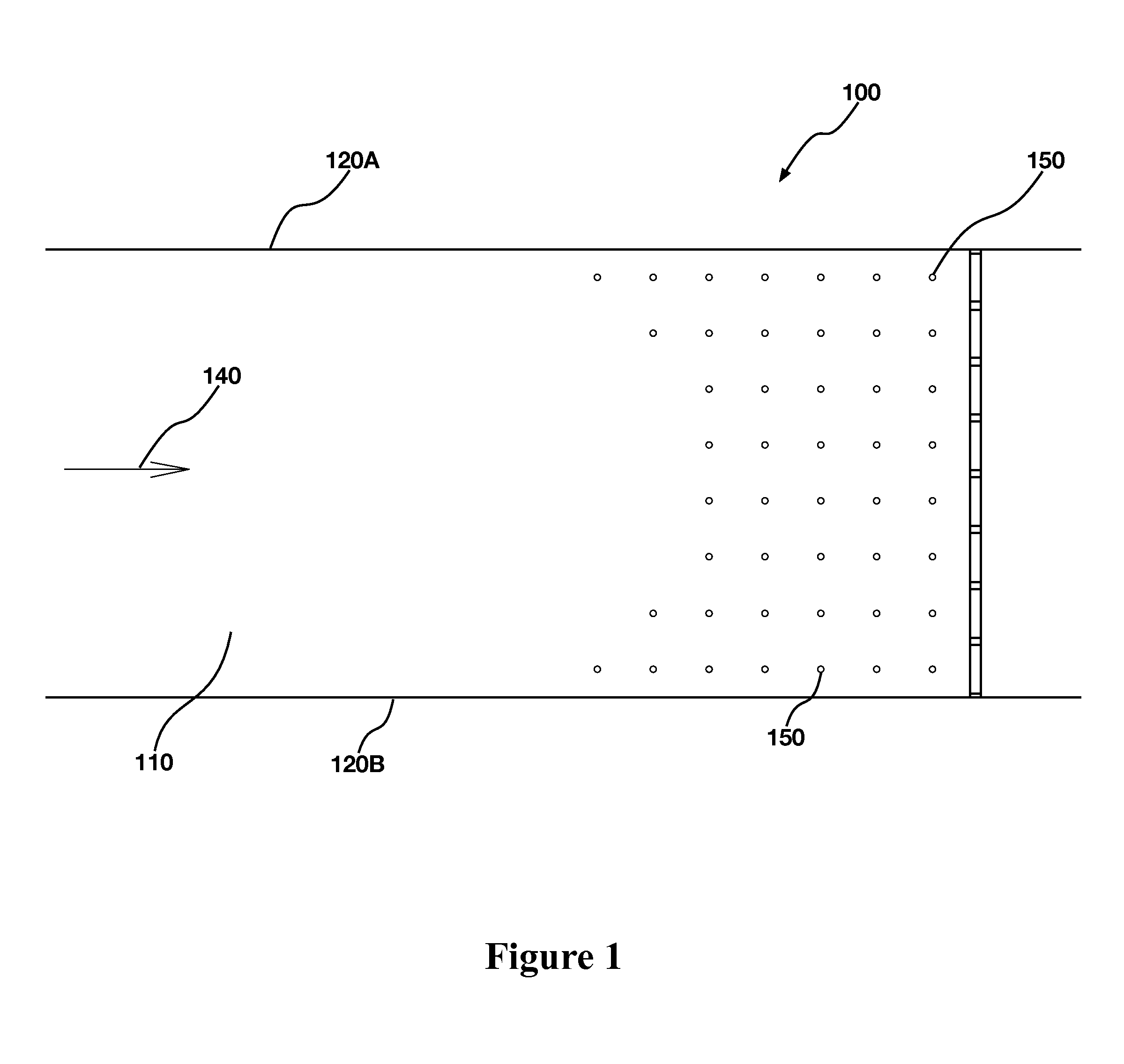 Apparatus and Methods for the Guidance of Fish