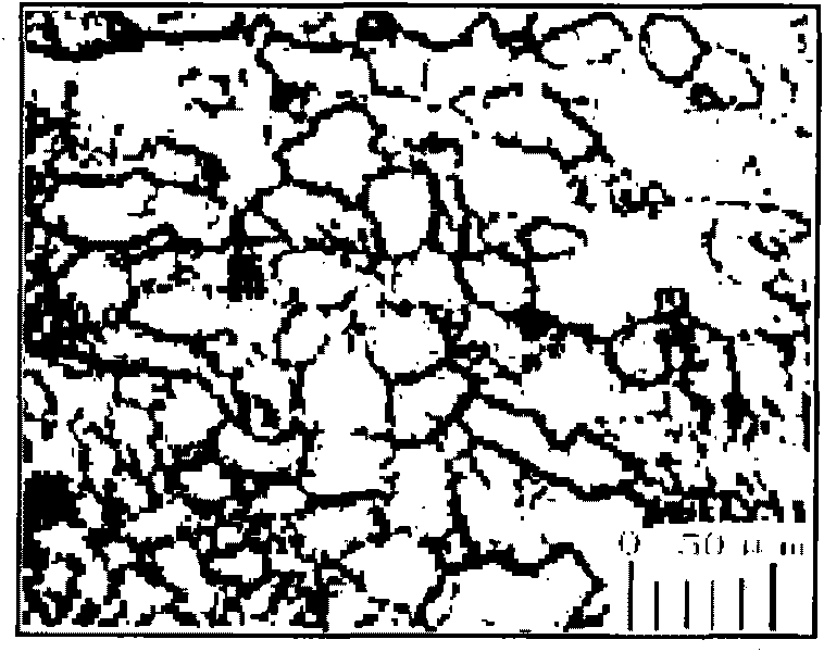 Method for preparing sample showing metallurgical structure of tantalum-tungsten alloy