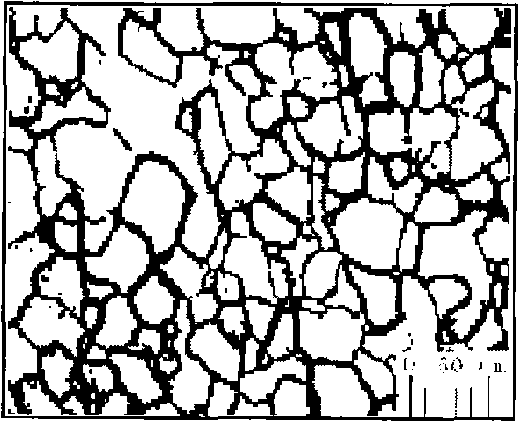 Method for preparing sample showing metallurgical structure of tantalum-tungsten alloy