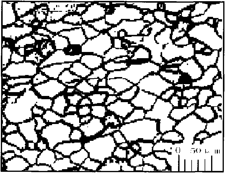 Method for preparing sample showing metallurgical structure of tantalum-tungsten alloy