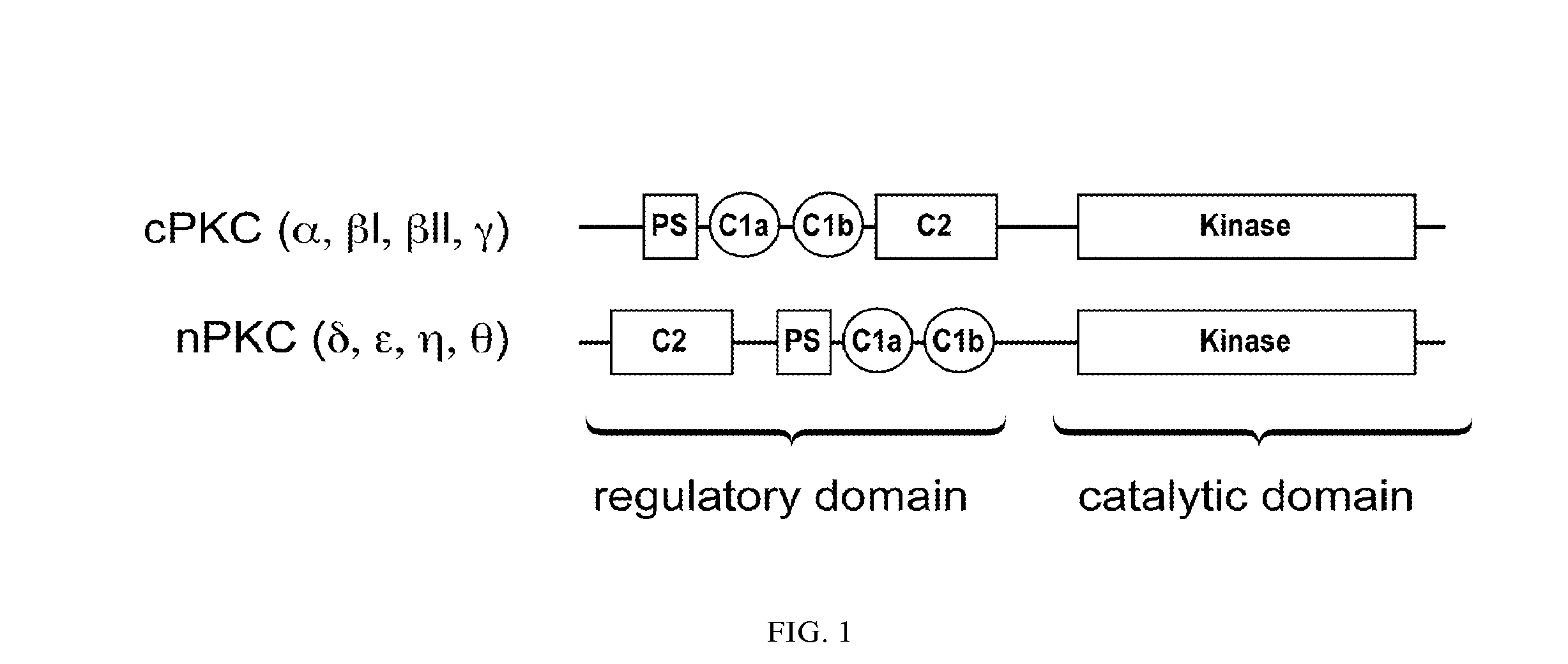 Bryostatin Analogues, Synthetic Methods and Uses