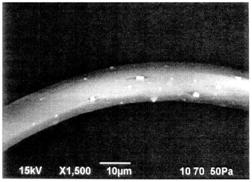 Antimicrobial fiber and method of manufacturing antimicrobial fiber