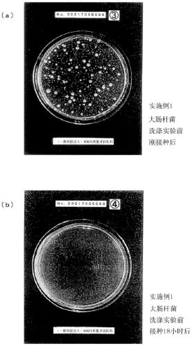 Antimicrobial fiber and method of manufacturing antimicrobial fiber