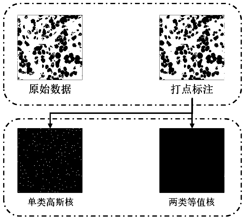 Cell nucleus center point detection method based on multi-task convolutional neural network