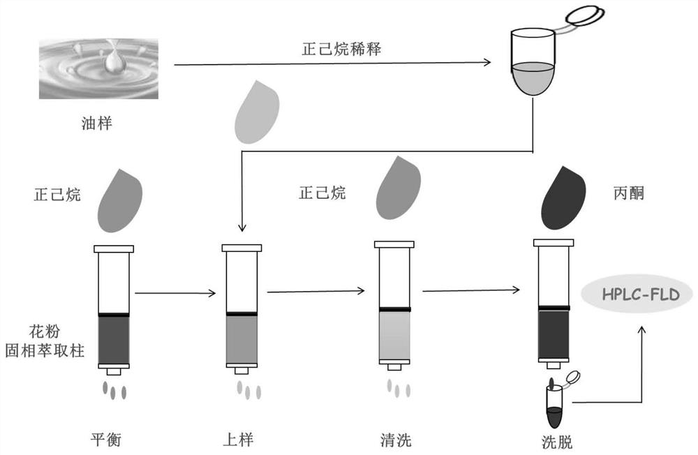 Low-cost method suitable for rapidly detecting aflatoxin in large-batch edible oil samples