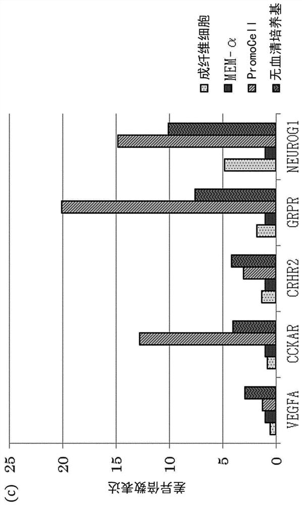 Mesenchymal stem cell and therapeutic agent for neuropathy