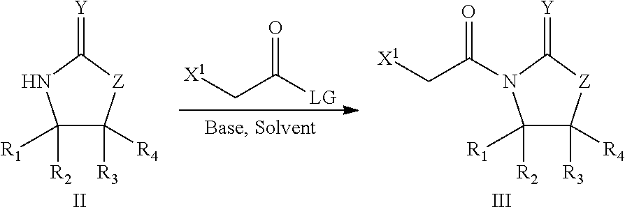 Processes for preparing 2-dihalo ribolactones