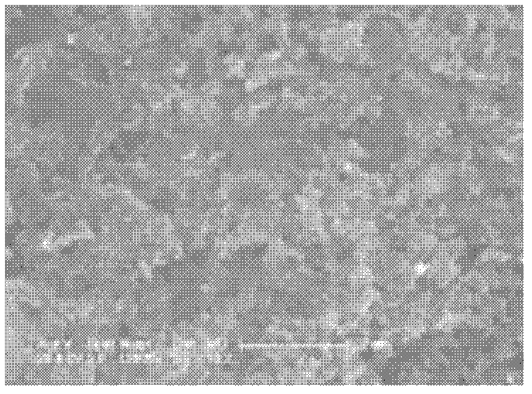 Preparation method of electrode of proton exchange membrane fuel cell and proton exchange membrane fuel cell