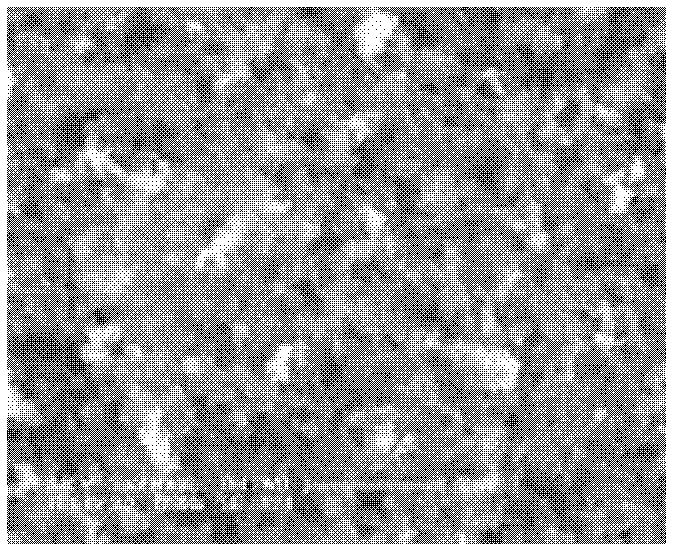 Preparation method of electrode of proton exchange membrane fuel cell and proton exchange membrane fuel cell