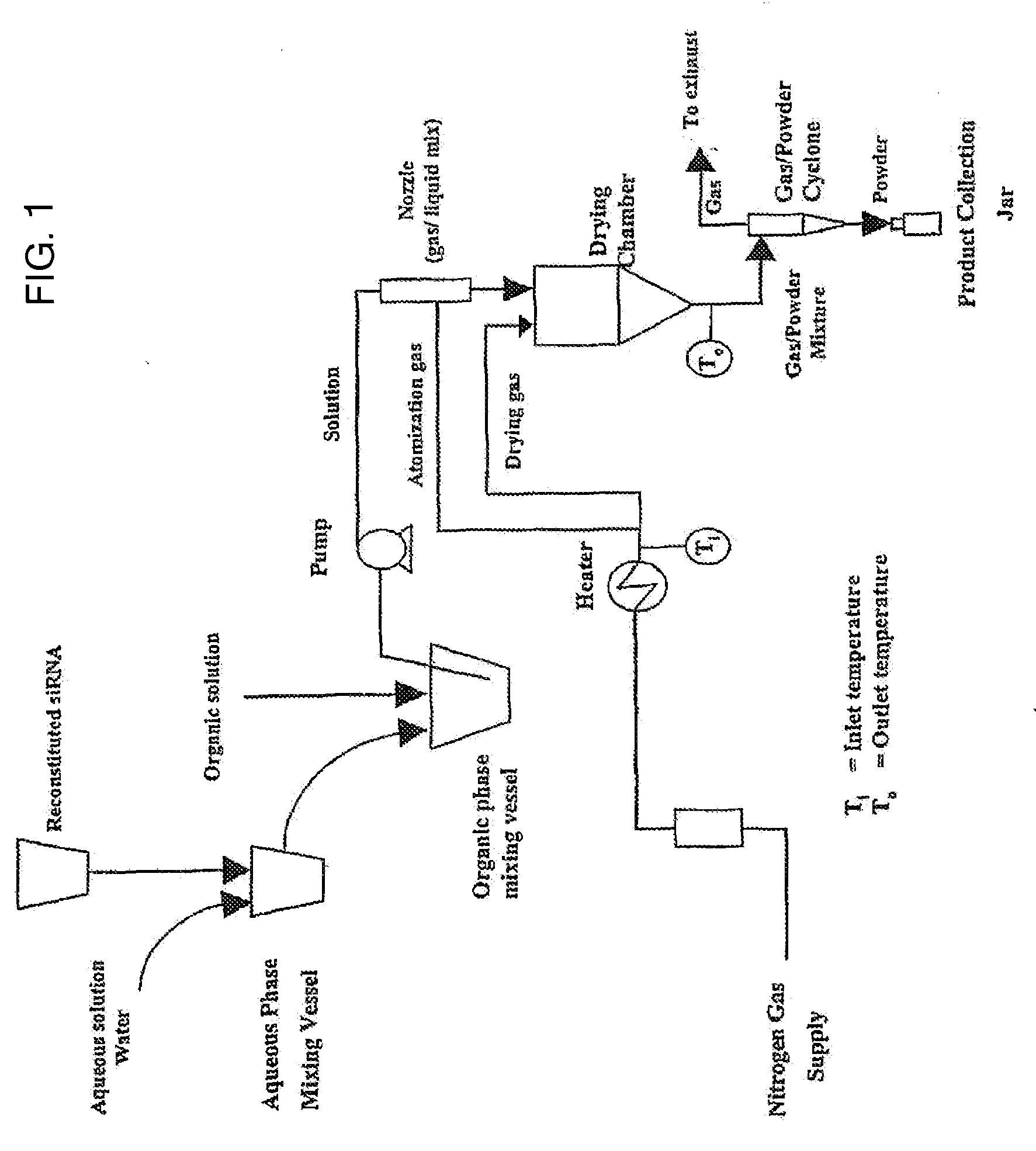 Dry powder compositions for RNA influenza therapeutics