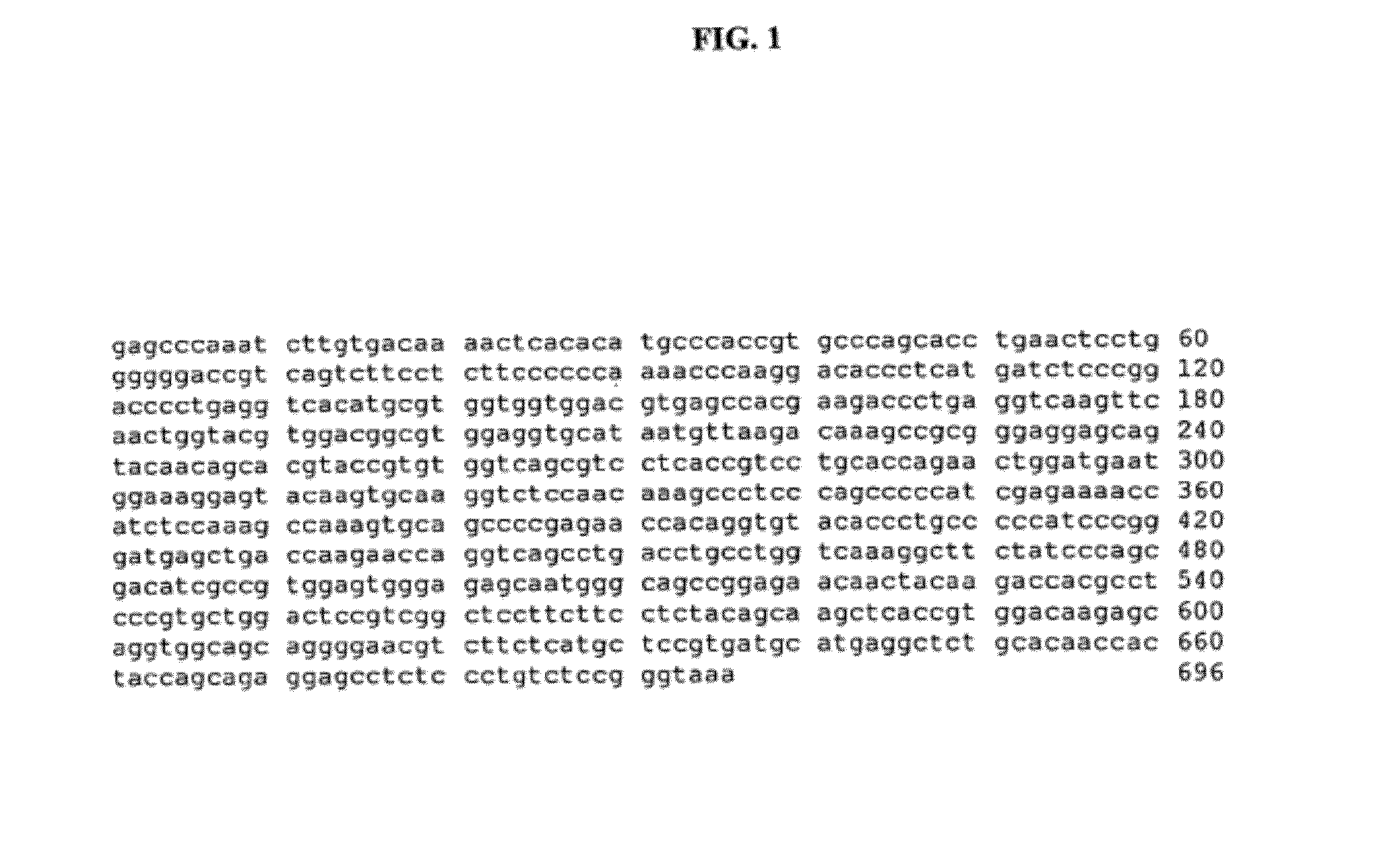 Fusion molecules and methods for treatment of immune diseases