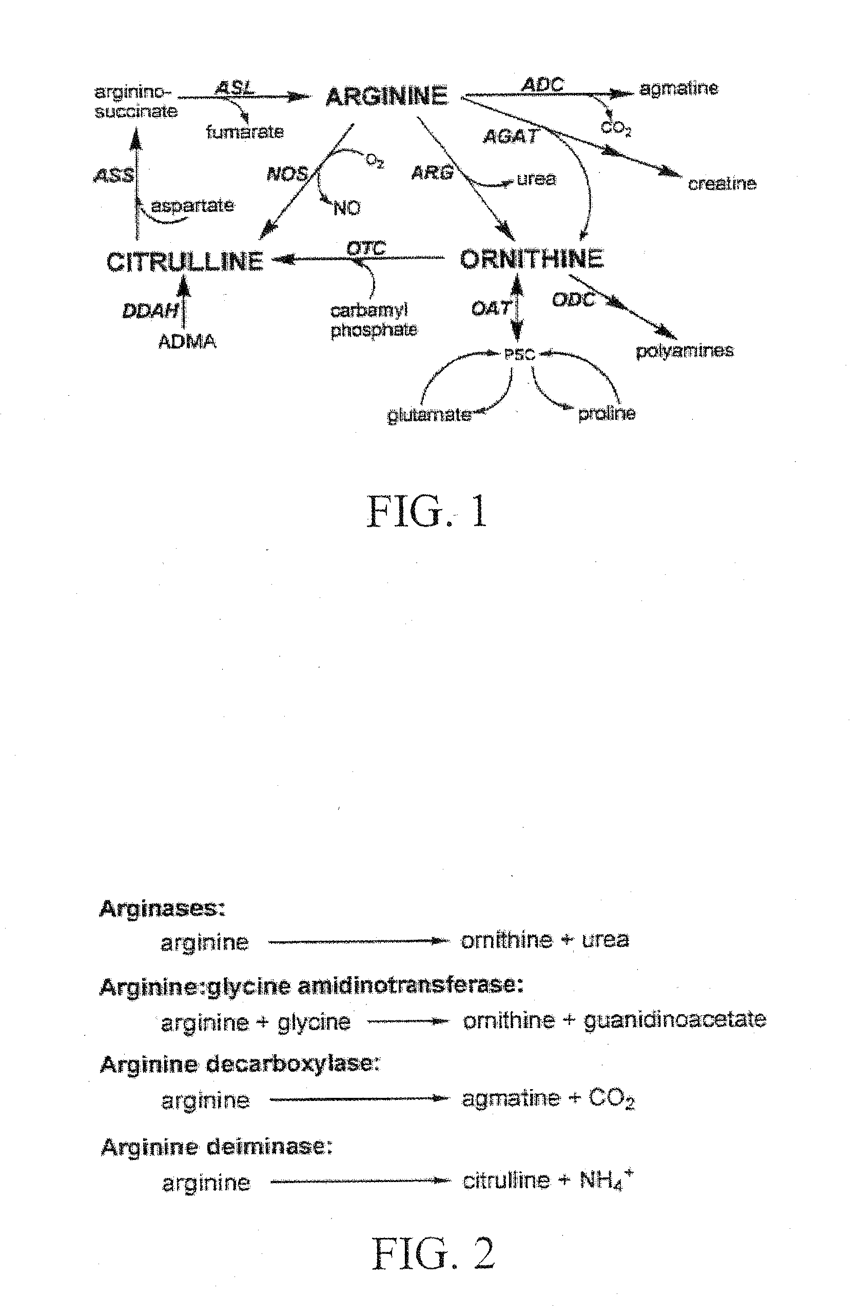 Materials and Methods for Modulating Arginine Metabolism