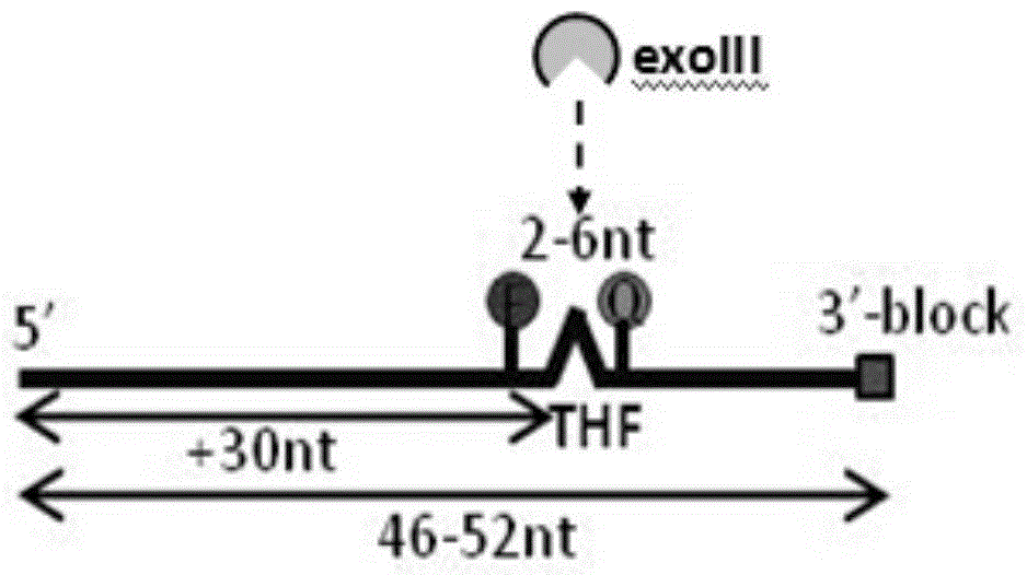 Method for rapid fluorescence detection of polynucleotide target objects simultaneously at room temperature and constant temperature